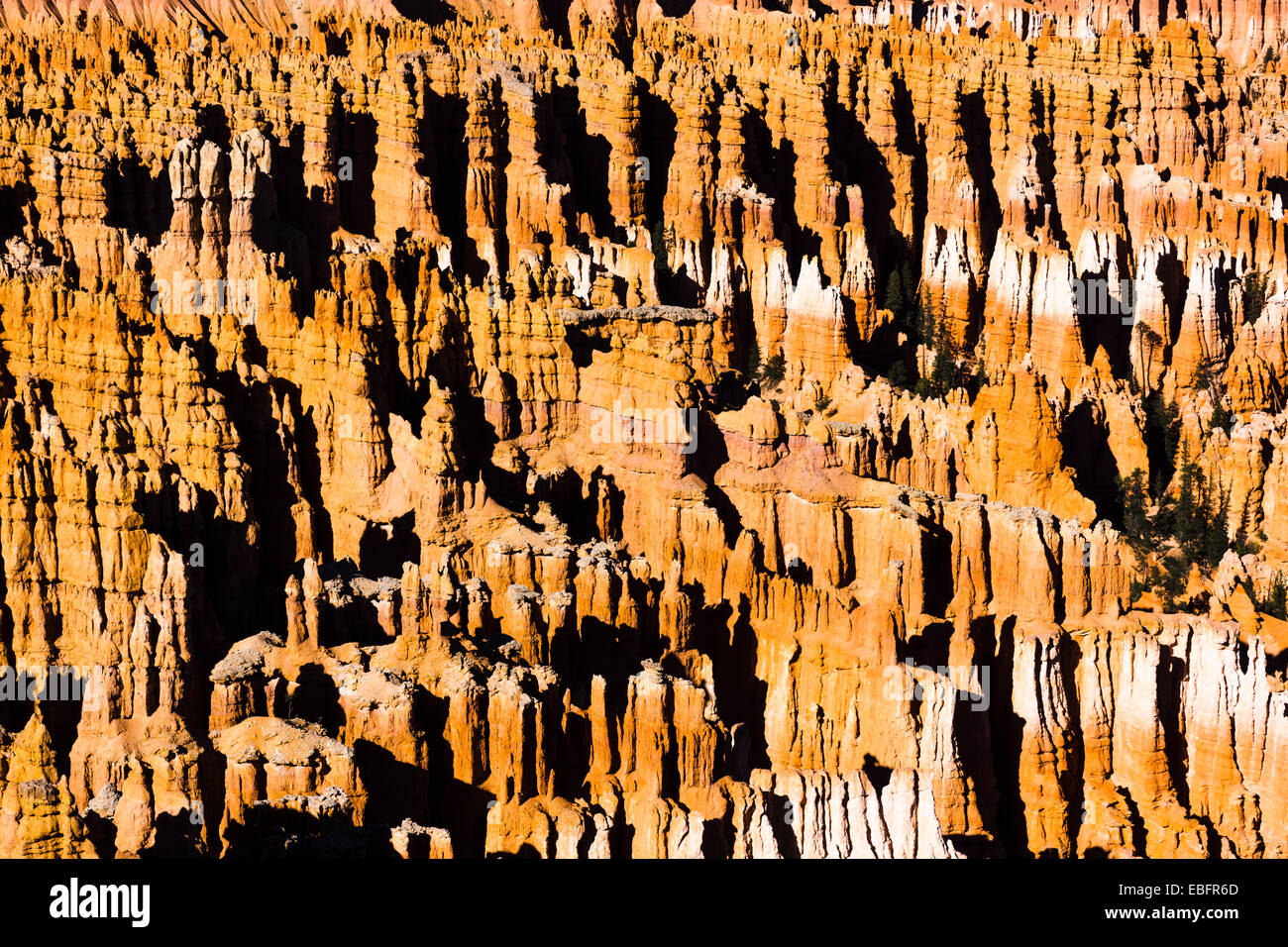 Hoodoos. Bryce Canyon National Park, Utah, EE.UU.. Foto de stock