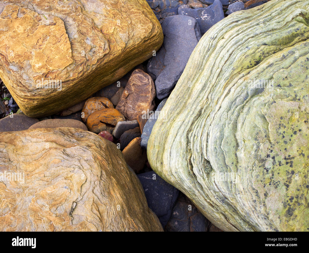 Detalle de la roca en la playa a deambular por el Mar de la costa de Northumberland Inglaterra Foto de stock