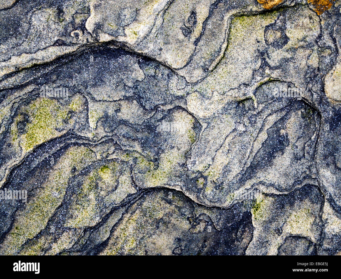 Detalle de la roca en la playa a deambular por el Mar de la costa de Northumberland Inglaterra Foto de stock