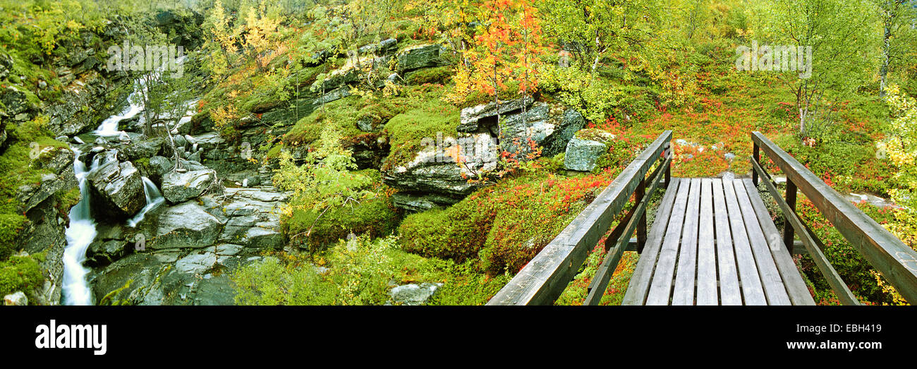 Pequeño puente de madera, en el otoño de Bush bosque con Little Creek, Suecia, Laponia, Stora sjoefallets NP, 02 sep. Foto de stock