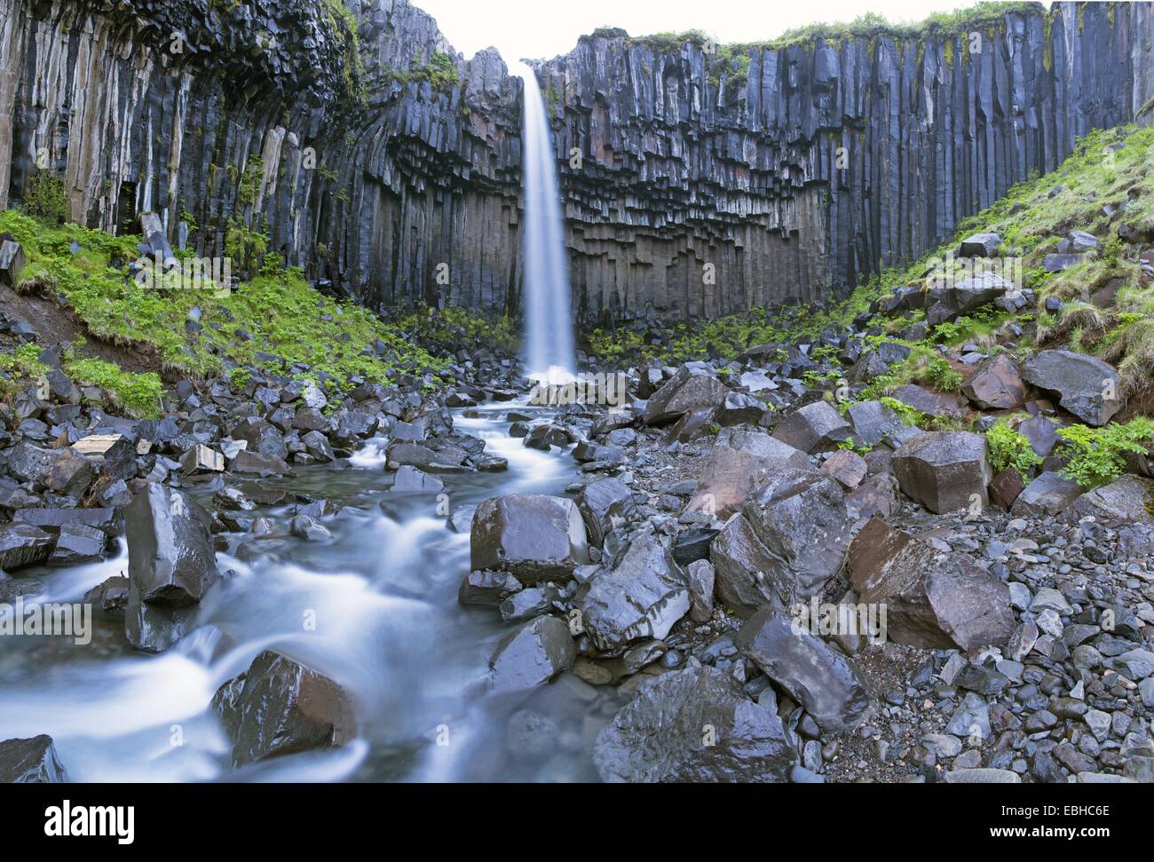 Cascada Svartifoss, Islandia, Austurland, Skaftafell Foto de stock