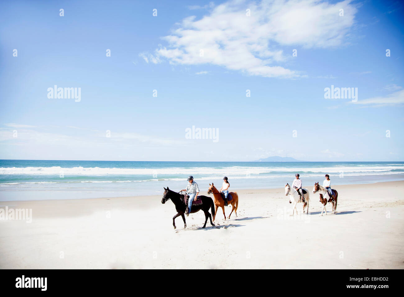 Equitación, Pakiri Beach, Auckland, Nueva Zelanda Foto de stock