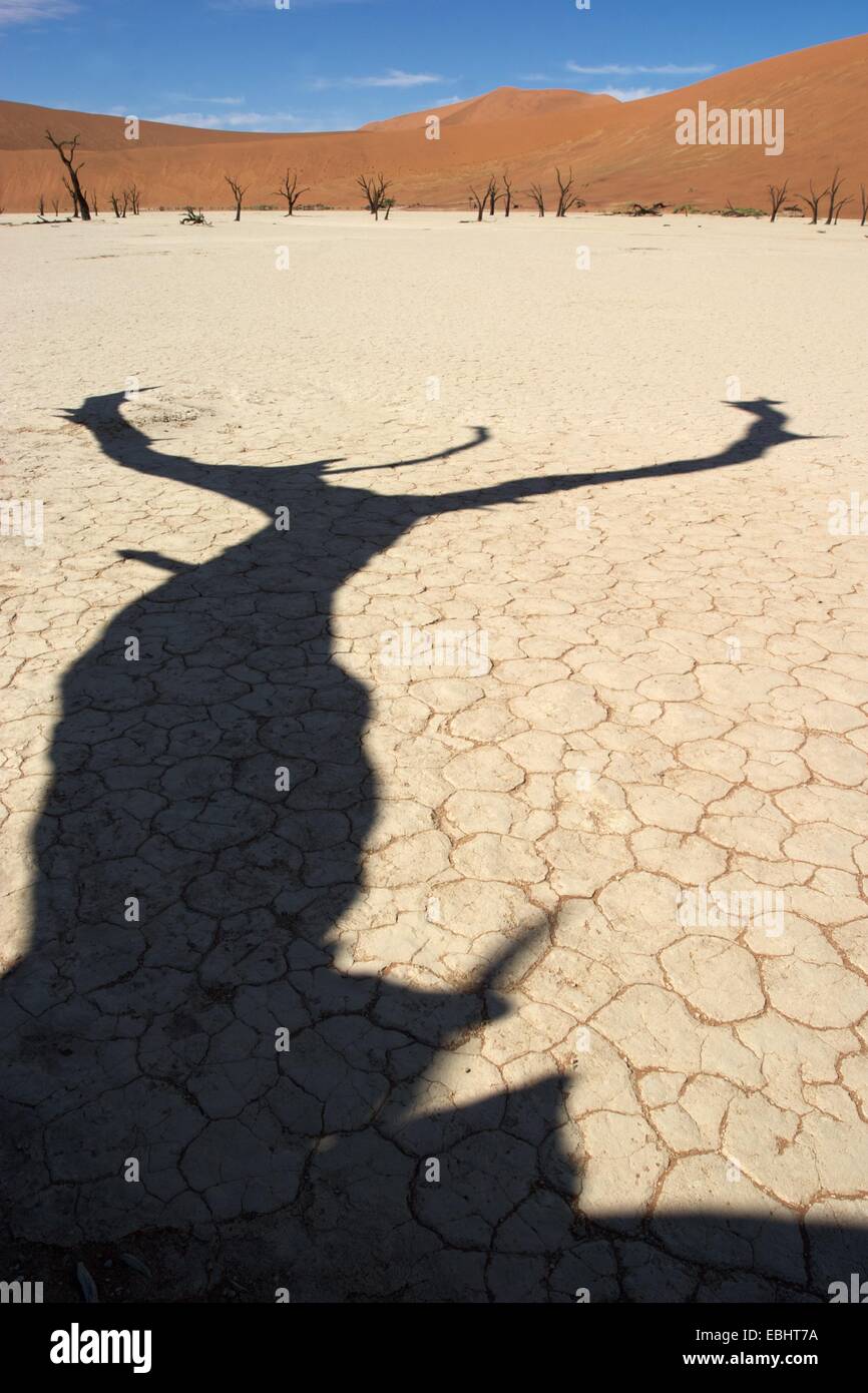 Sossusvlei es una sal y pan de arcilla rodeado por altas dunas de color rojo situado en la parte sur del desierto de Namib, en Namibia. Foto de stock