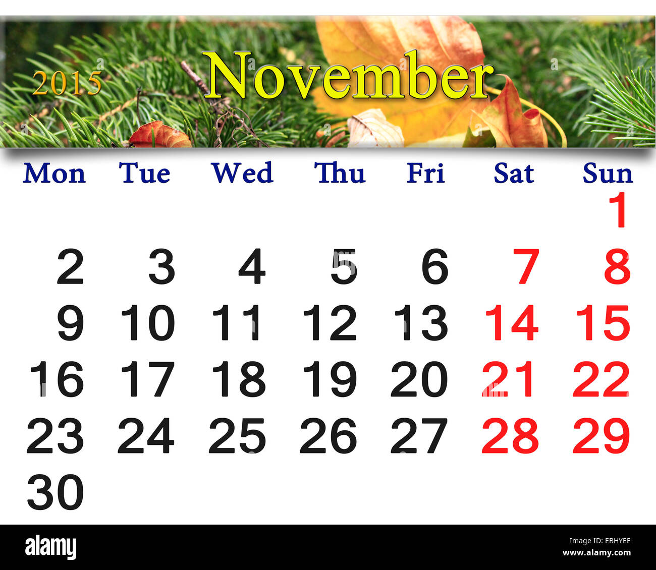 Calendario de noviembre de 2015 con la cinta amarilla de hoja seca en el Evergreen spruce Foto de stock