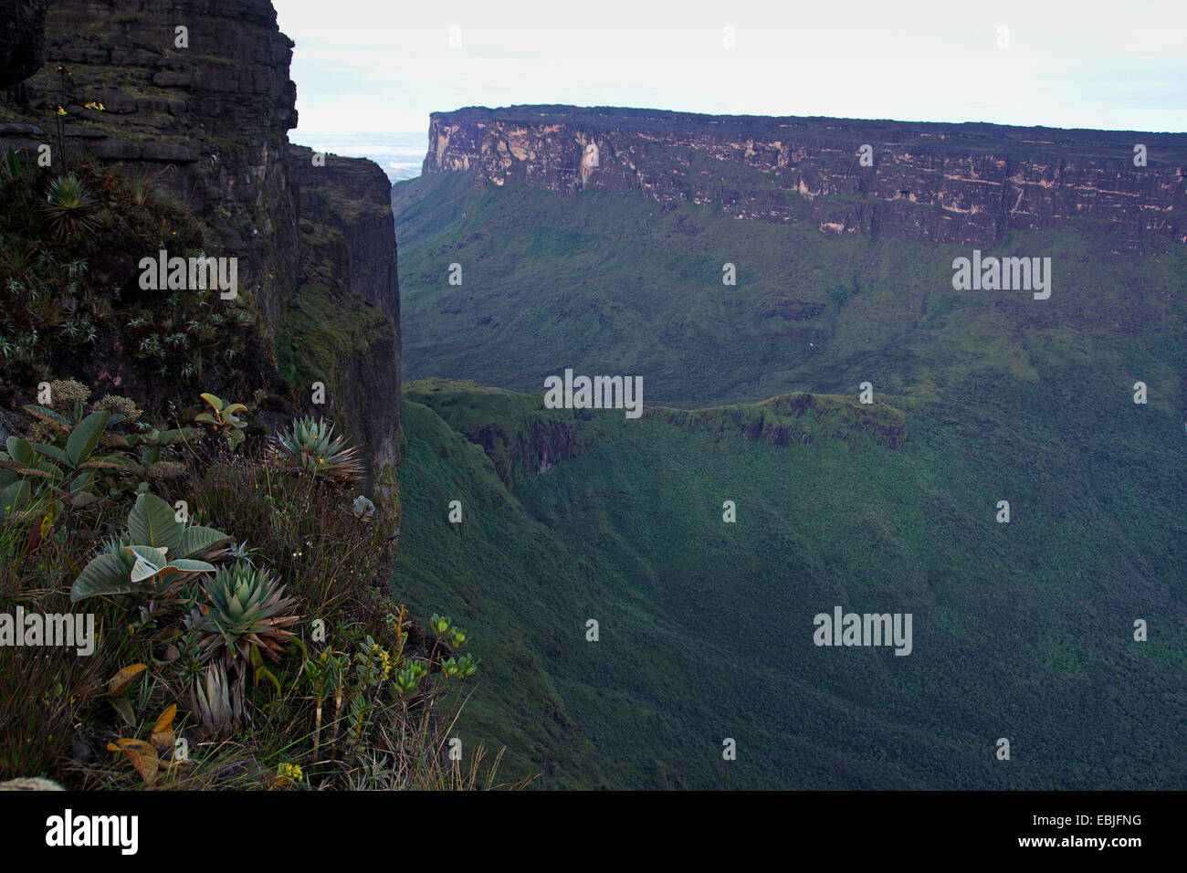Mesetas monte Roraima (izquierda) y Kukenam Tepuy (volver) visto desde la ventana, Venezuela, el Parque Nacional de Canaima Foto de stock