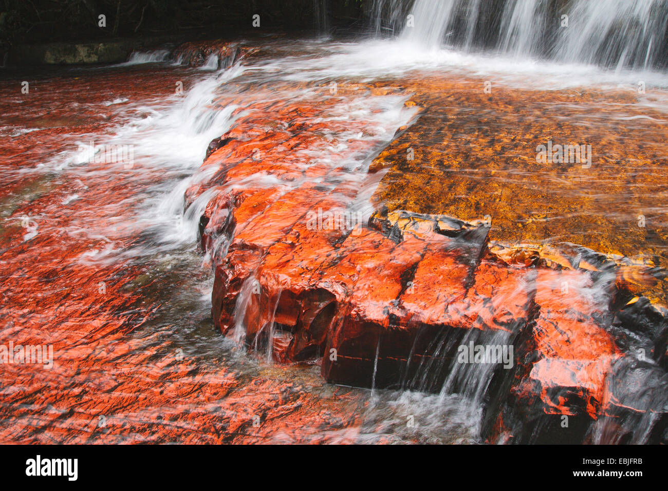 Jasper lecho del río, Quebrada de Jaspe, Venezuela, el Parque Nacional de Canaima Foto de stock
