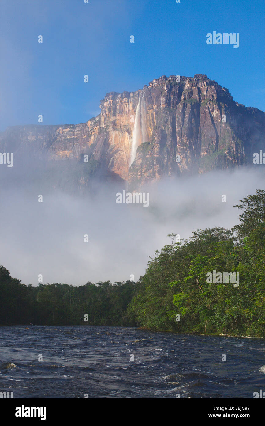Angel Falls, Venezuela, Parque Nacional Camaina, Auyan-Tepui Foto de stock