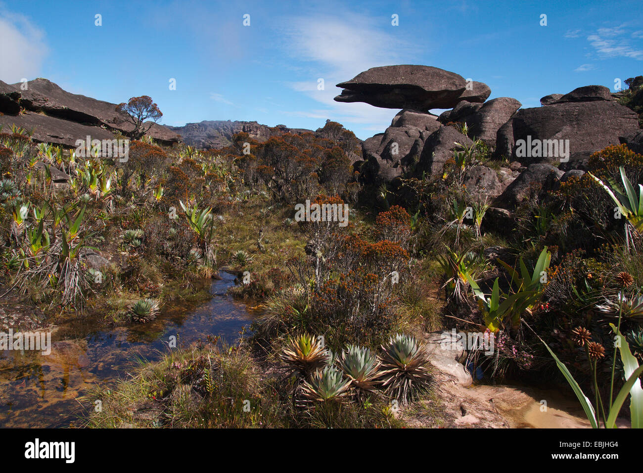 Bizarr formación arenosa "volando" de la tortuga en el monte Roraima, Venezuela, el Parque Nacional Canaima, el tepui Roraima Foto de stock