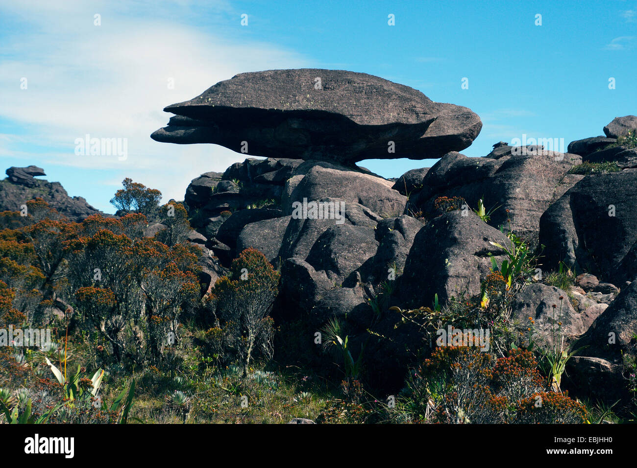 Bizarr formación arenosa "volando" de la tortuga en el monte Roraima, Venezuela, el Parque Nacional Canaima, el tepui Roraima Foto de stock