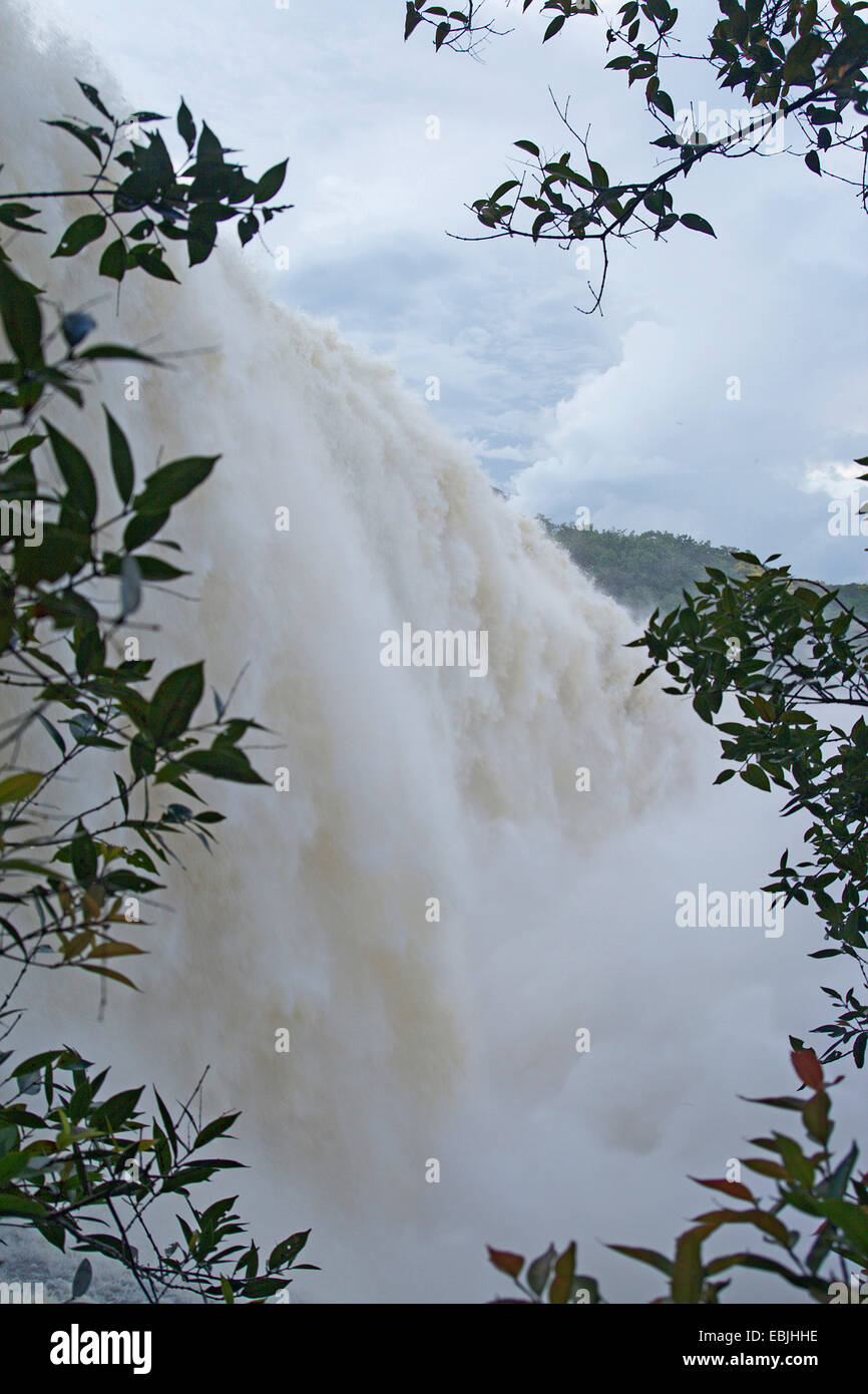 Salto el Sapo cerca de Canaima, Venezuela, el Parque Nacional de Canaima Foto de stock