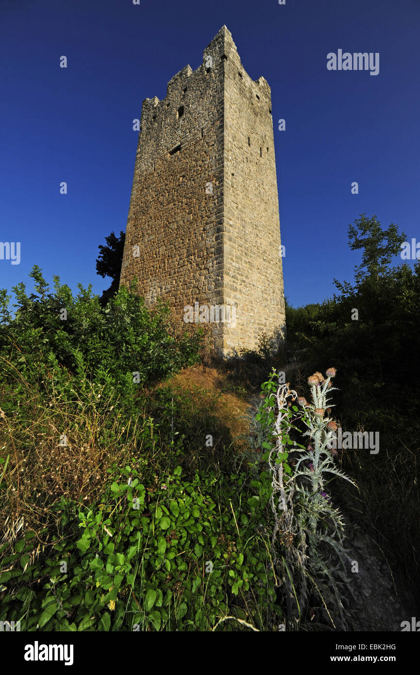 En vista de la torre de la ruina del castillo cubierto de Dvigrad, Croacia, Istria Foto de stock