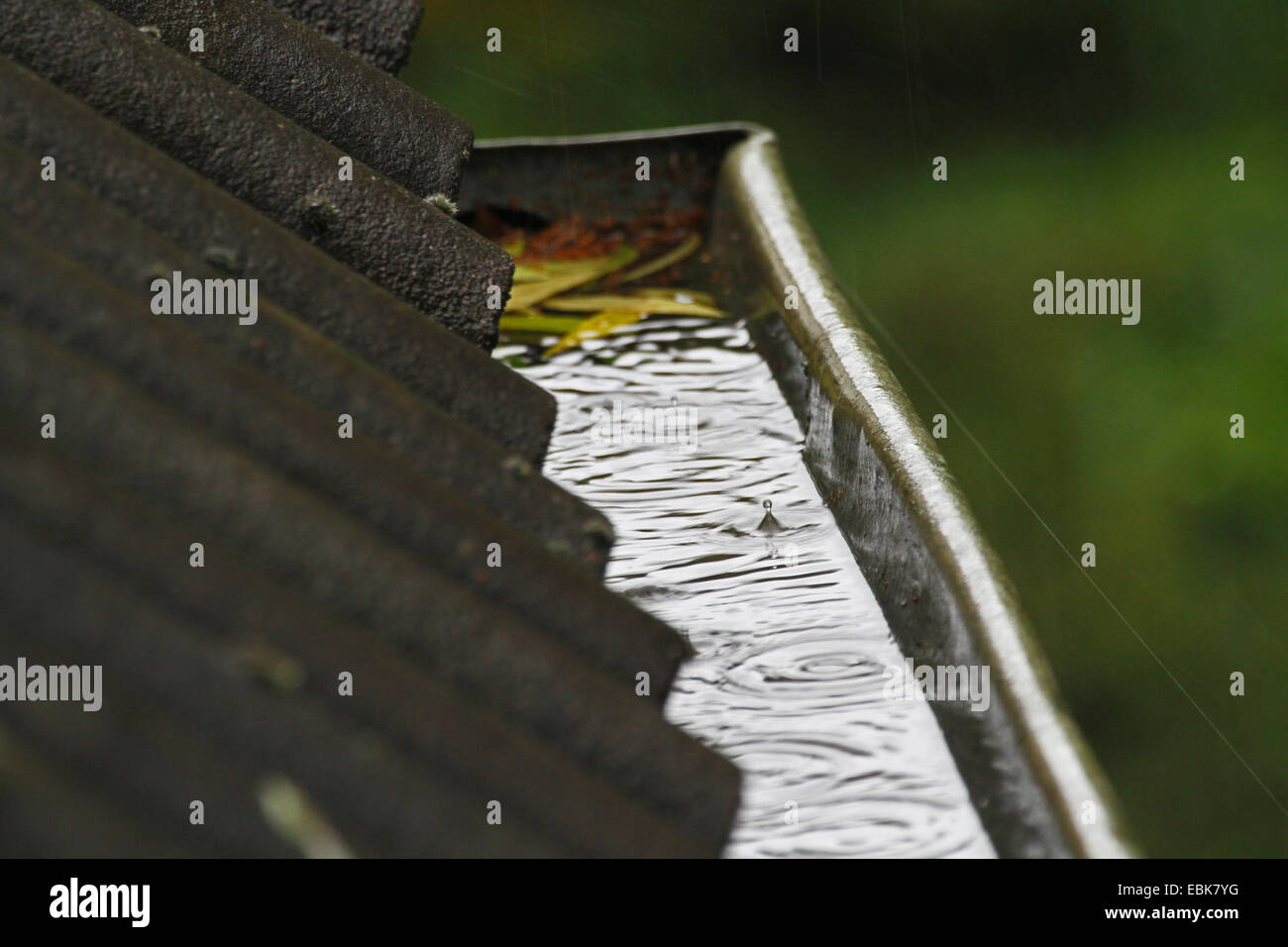 Canaleta con agua de lluvia, Alemania Foto de stock