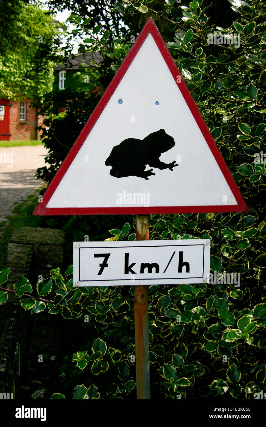 Señal de carretera llamando la atención de la migración de anfibios, Alemania Foto de stock