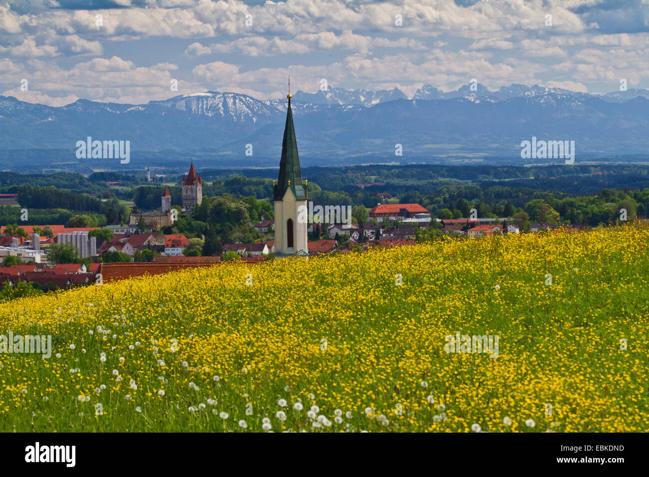Faldas alpinas, vistas flor maedow, la iglesia y el castillo de los Alpes, Alemania, Baviera, Haag Foto de stock