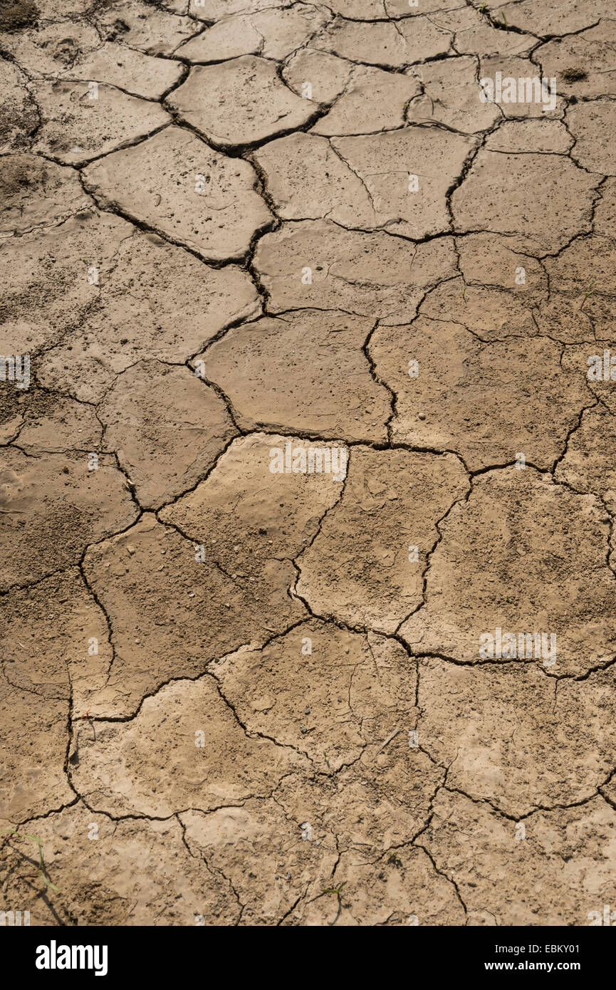 Seque el barro agrietado en detalle la sequía Foto de stock