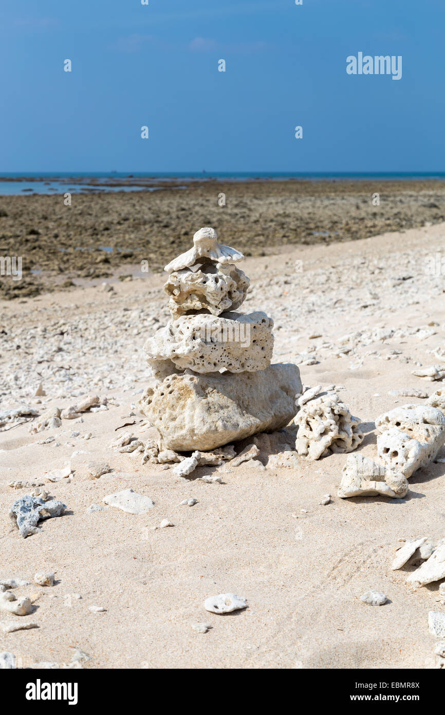 El blanqueamiento del coral en la playa junto al mar Foto de stock