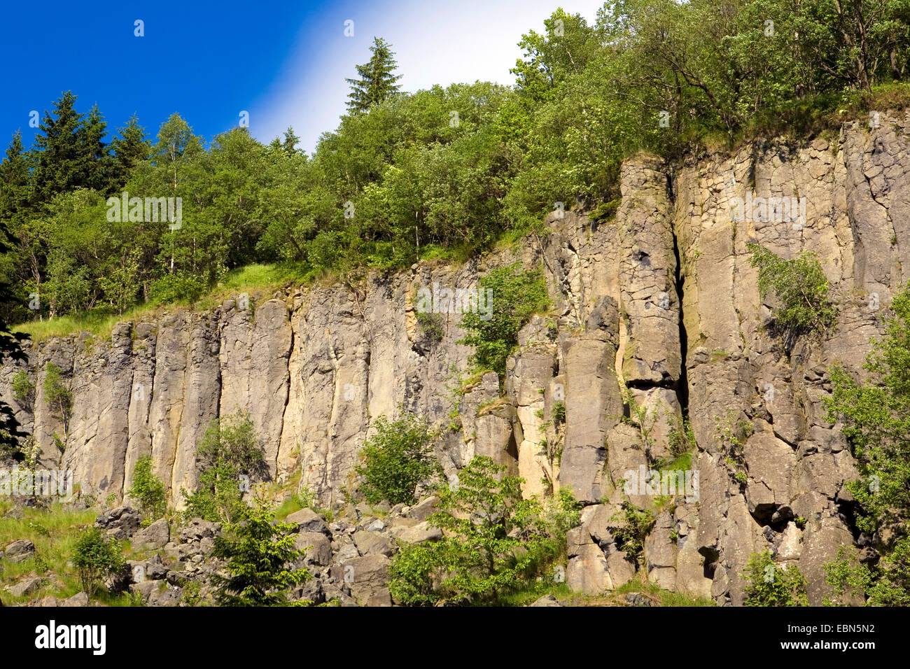 Columnas de basalto en la Poehlberg, Alemania, Sajonia, Annaberg-Buchholz Foto de stock