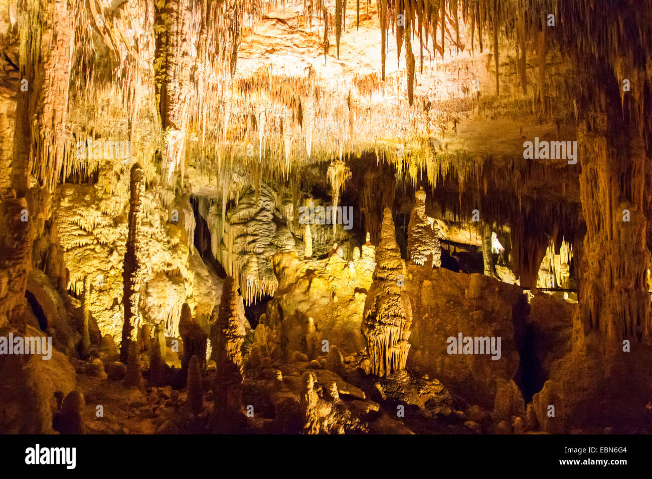 La Cueva Mammoth con estalactitas y estalagmitas, Australia, Australia Occidental, la Cueva Mammoth Foto de stock