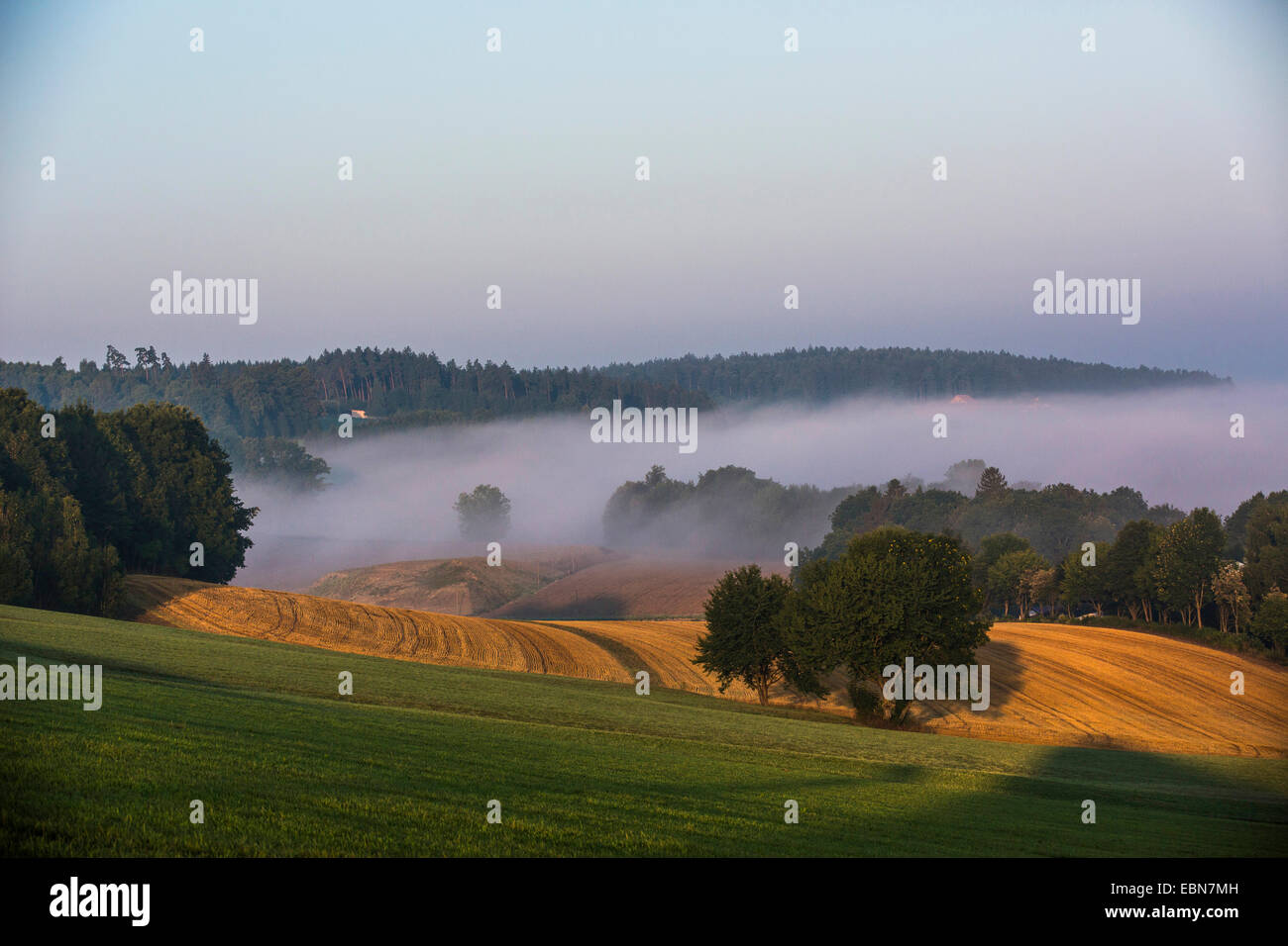 Terreno con niebla y estable de inversión atmosférica capas, Alemania, Baviera, Isental Foto de stock