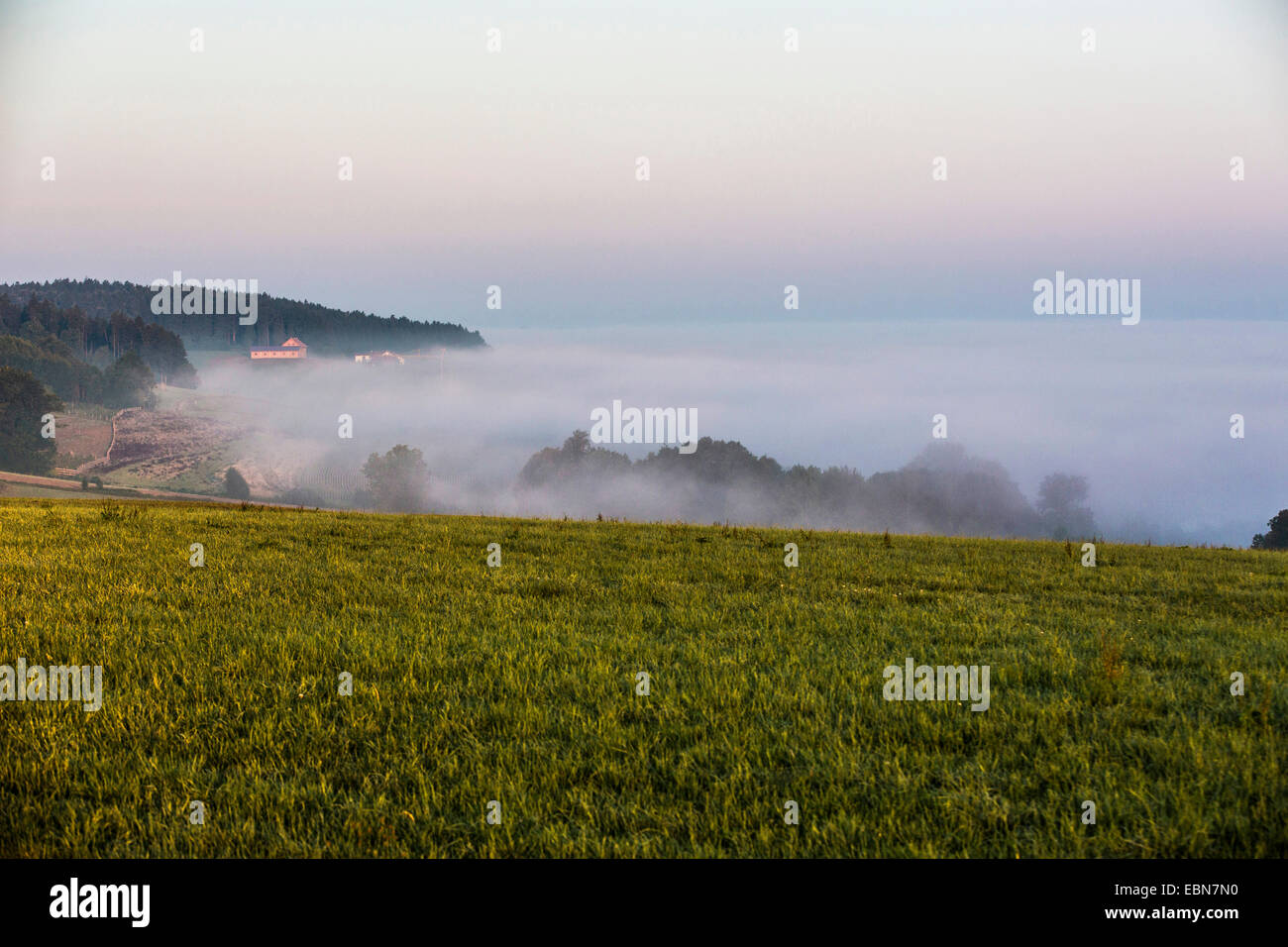 Terreno con niebla y estable de inversión atmosférica capas, Alemania, Baviera, Isental Foto de stock