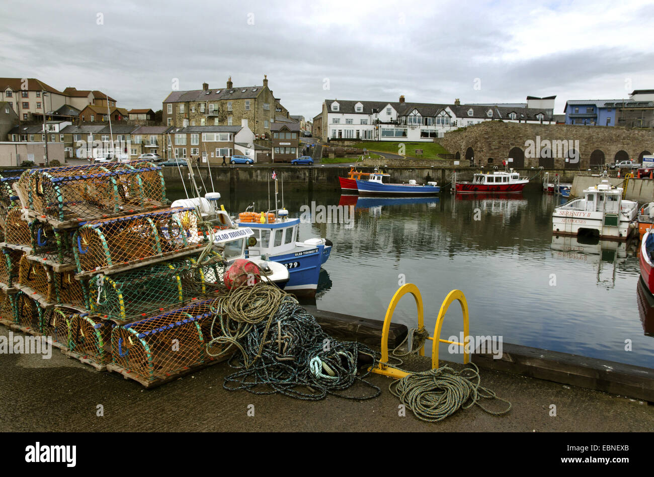 Barcos de pesca de langosta y macetas en Harbour , Reino Unido, Inglaterra, Northumberland, Islas Farne Foto de stock