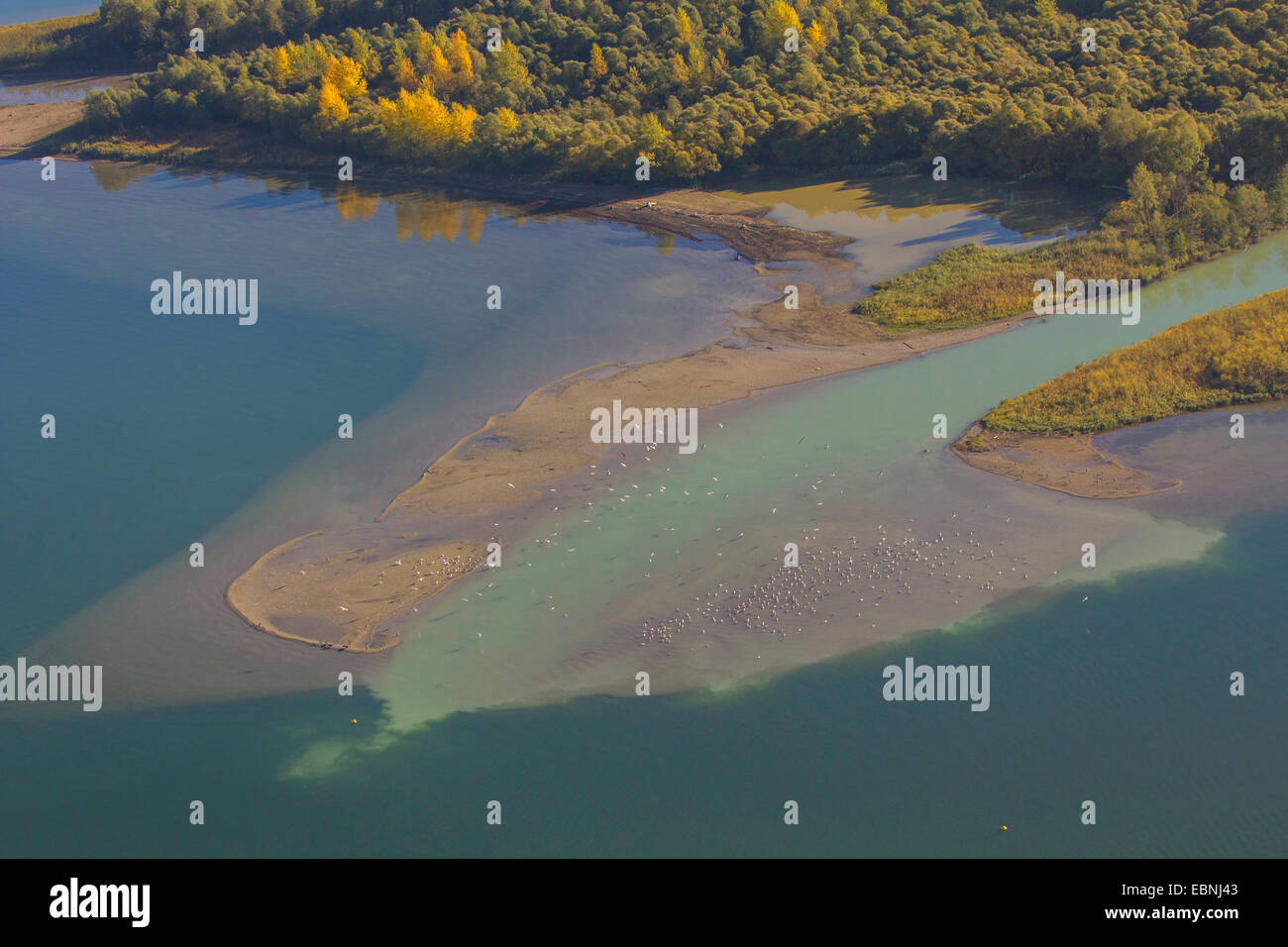 Chiemsee y Tiroler Achen delta de río, bahía de Hirschau, Alemania, Baviera, el lago Chiemsee Foto de stock