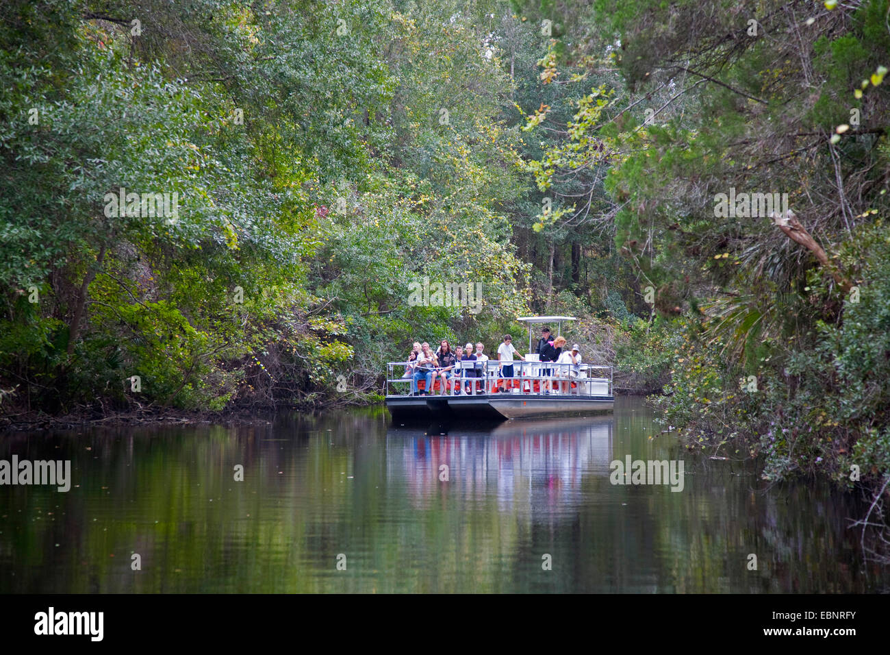 Electro barco con los turistas de Río en el bosque tropical, EEUU, Florida, Homosassa Springs State Park, Vida Silvestre Homosassa Springs Foto de stock