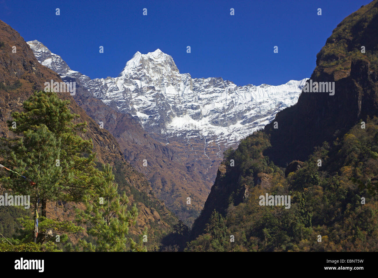 Kusum Khangkaru vista desde Thado Koshigaon (entre Phakding y Lukla), Nepal, Himalaya, Khumbu Himal Foto de stock