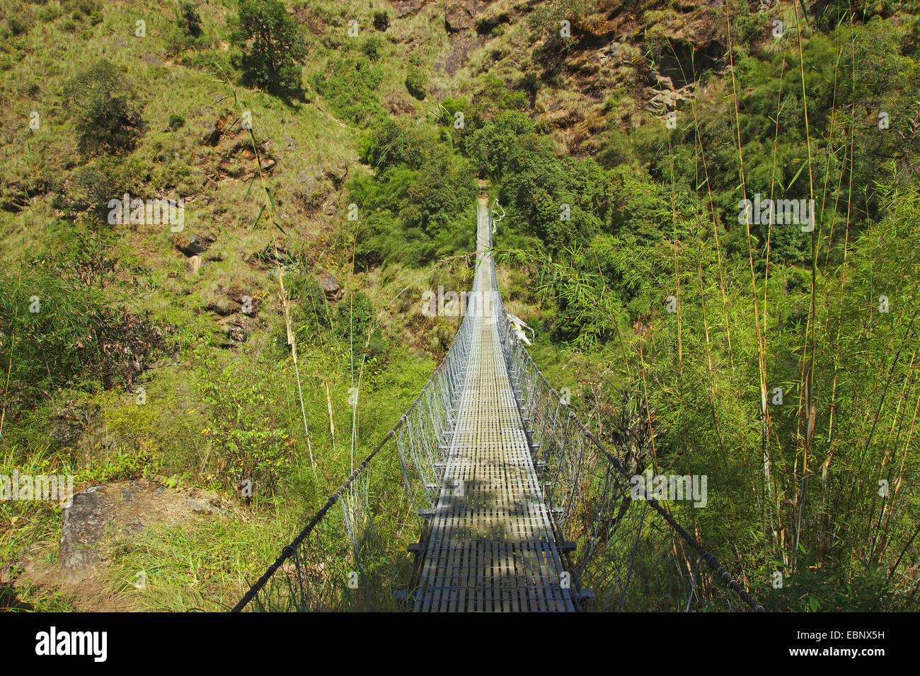 Puente en el camino de Langtang valle cerca de Thulo Syabru, Langtang Himal, Nepal Langtang Himal Foto de stock