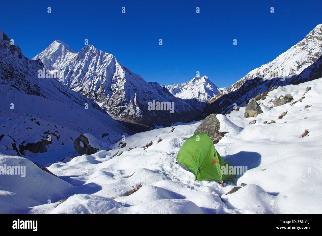 En la Carpa con Basecamp Moromoto Ponggen Dopku Gangchempo y, Nepal Langtang Himal Foto de stock