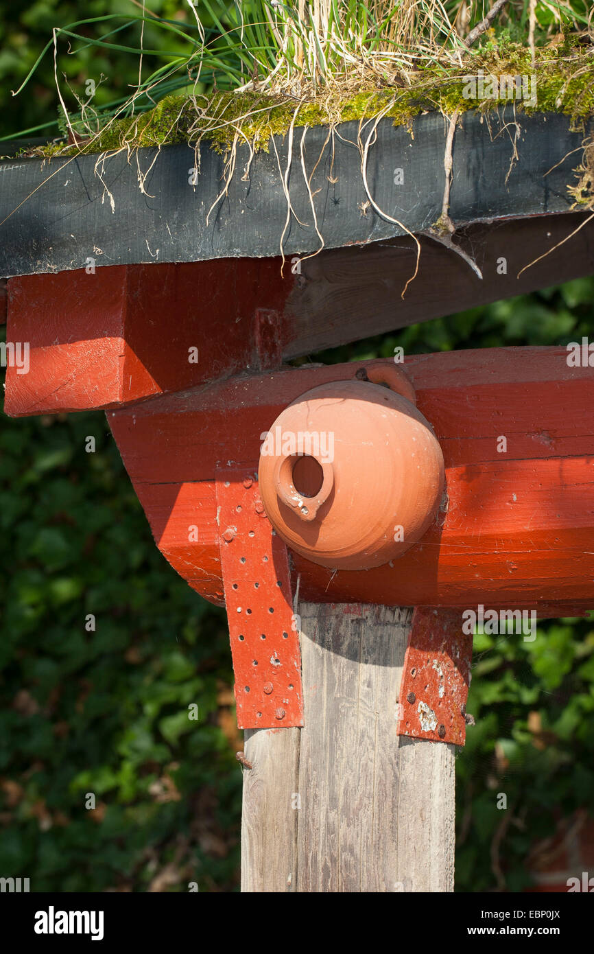 Caja de nido de arcilla, Alemania Foto de stock