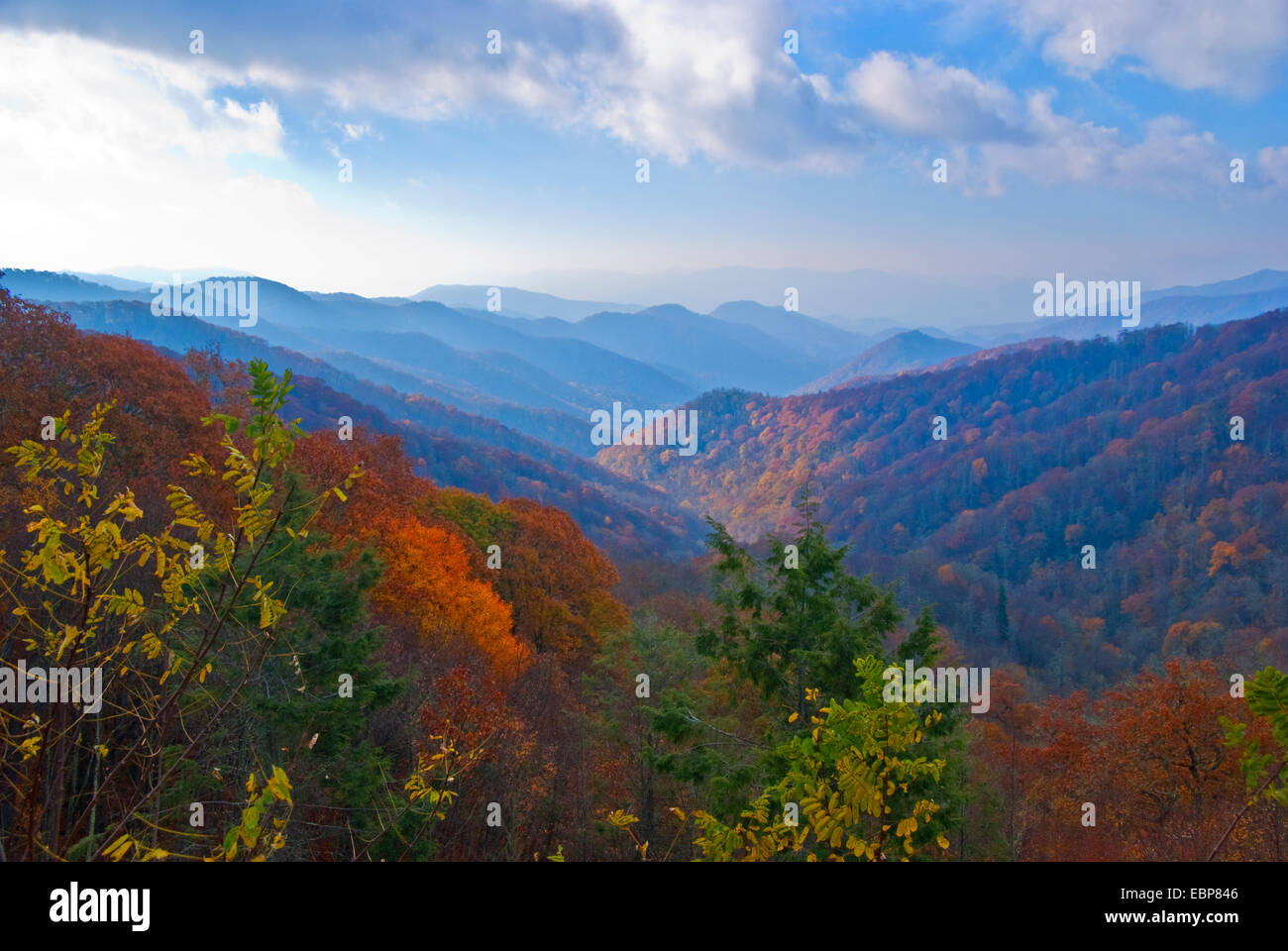 Great Smoky Mountains National Park descripción desde Newfound Gap Road en la mañana de otoño. Foto de stock