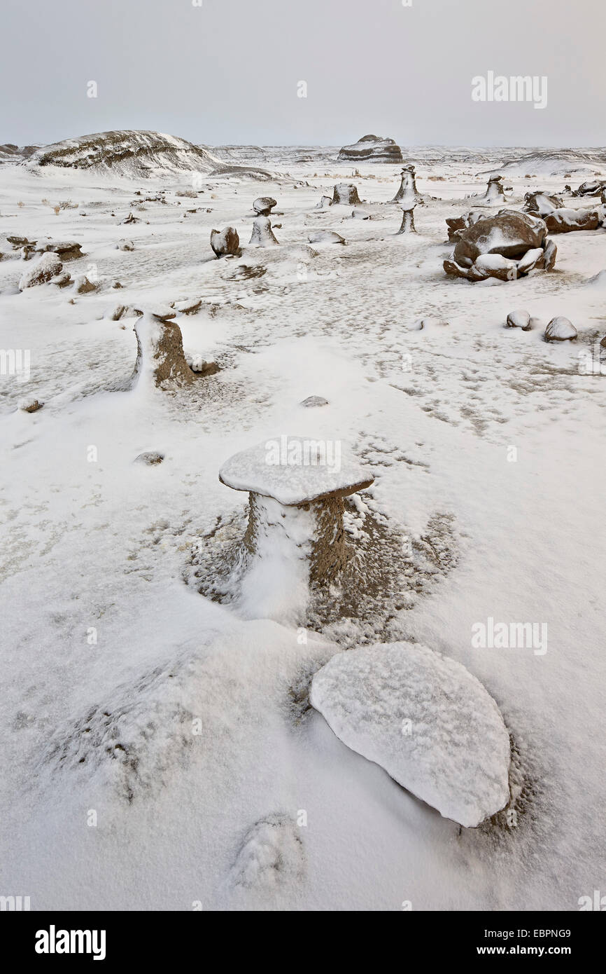 Rocas erosionadas en la fábrica de huevo con nieve fresca, Bisti Desierto, Nuevo México, Estados Unidos de América, América del Norte Foto de stock