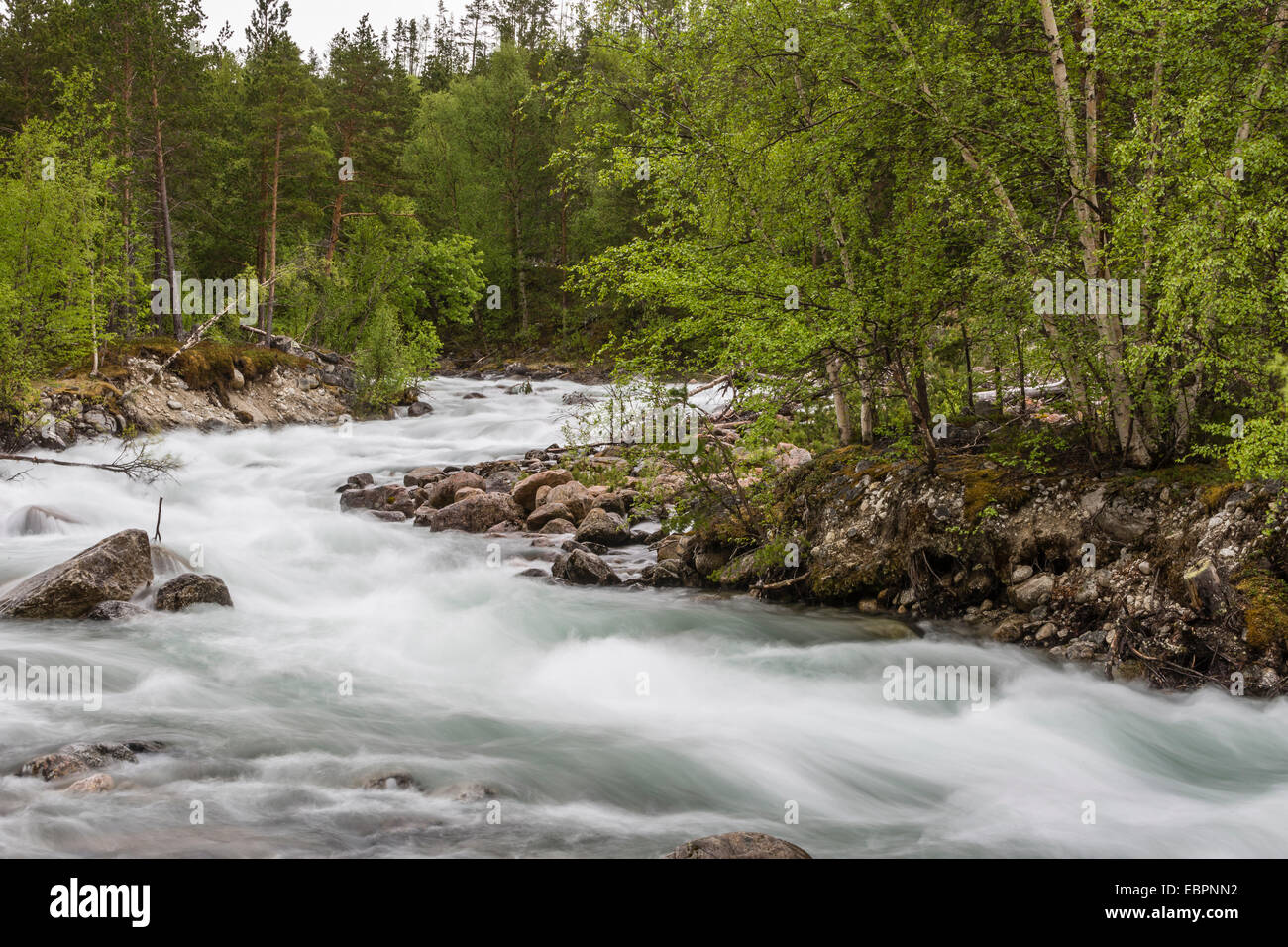 Slow motion blur detalle de un río torrentoso en Hellmebotyn, Tysfjord, Noruega, Escandinavia, Europa Foto de stock