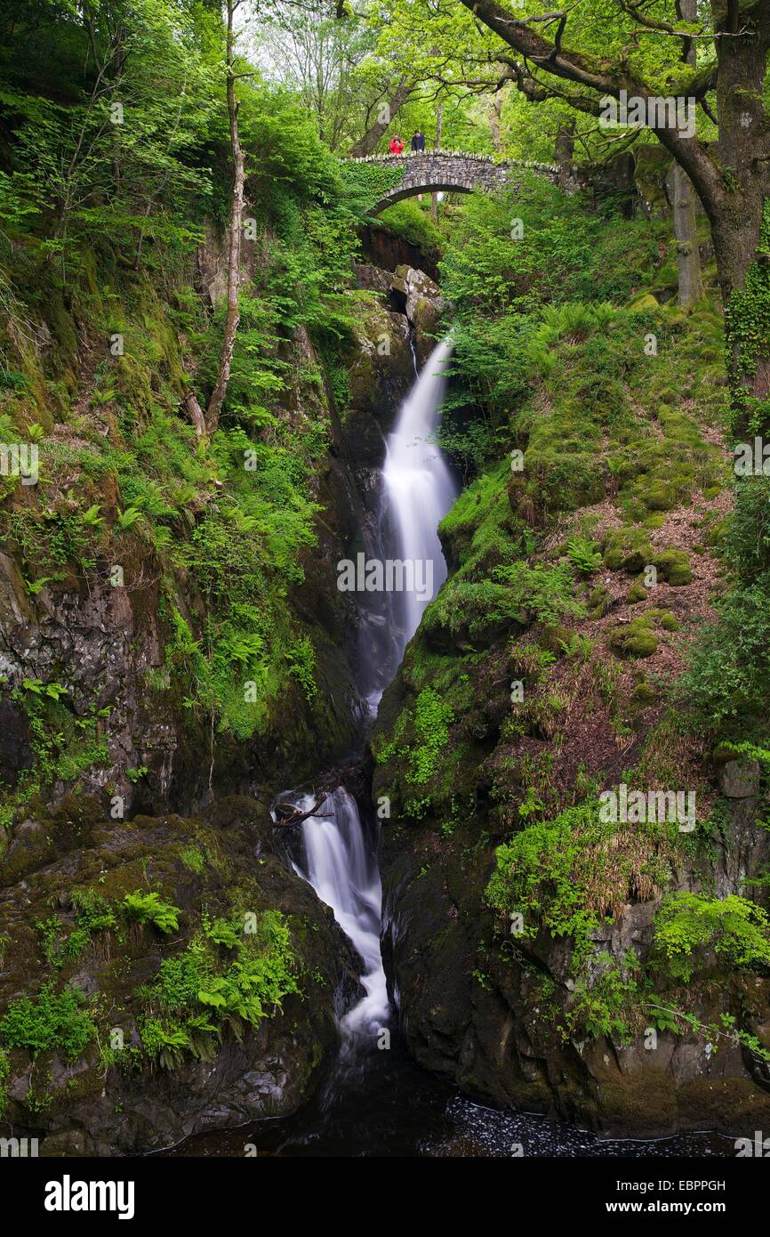 Aira fuerza, Ullswater, Lake District National Park, Cumbria, Inglaterra, Reino Unido, Europa Foto de stock