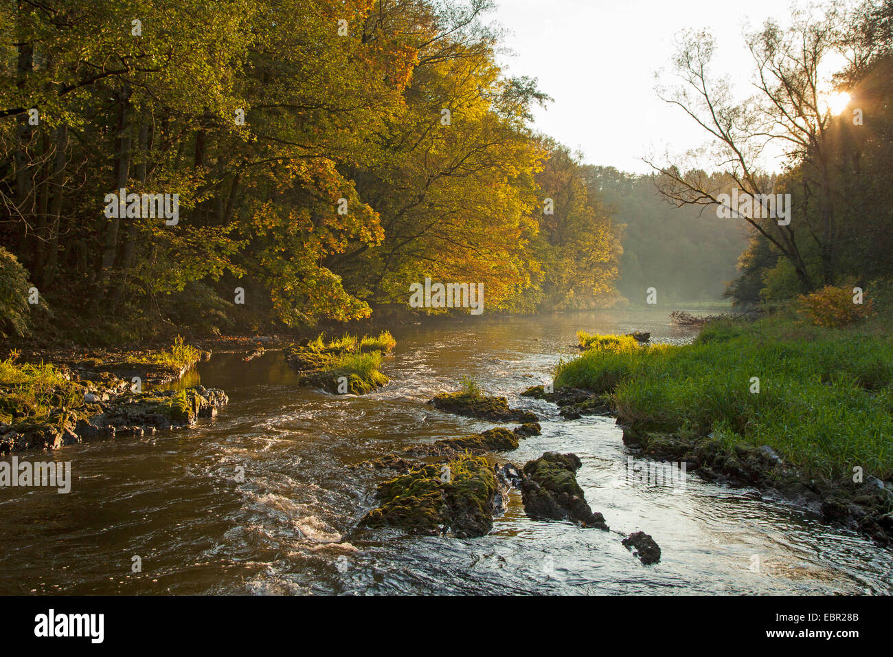 Río Sieg cerca Scheuerfeld, Alemania, Renania-Palatinado Foto de stock