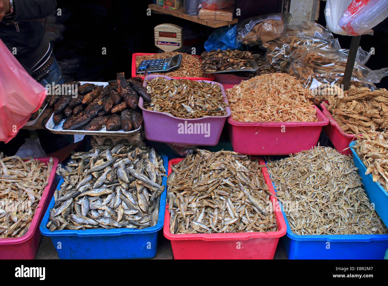 Stand de mercado con diferentes variedades de pescado seco, Nepal, Katmandú Foto de stock