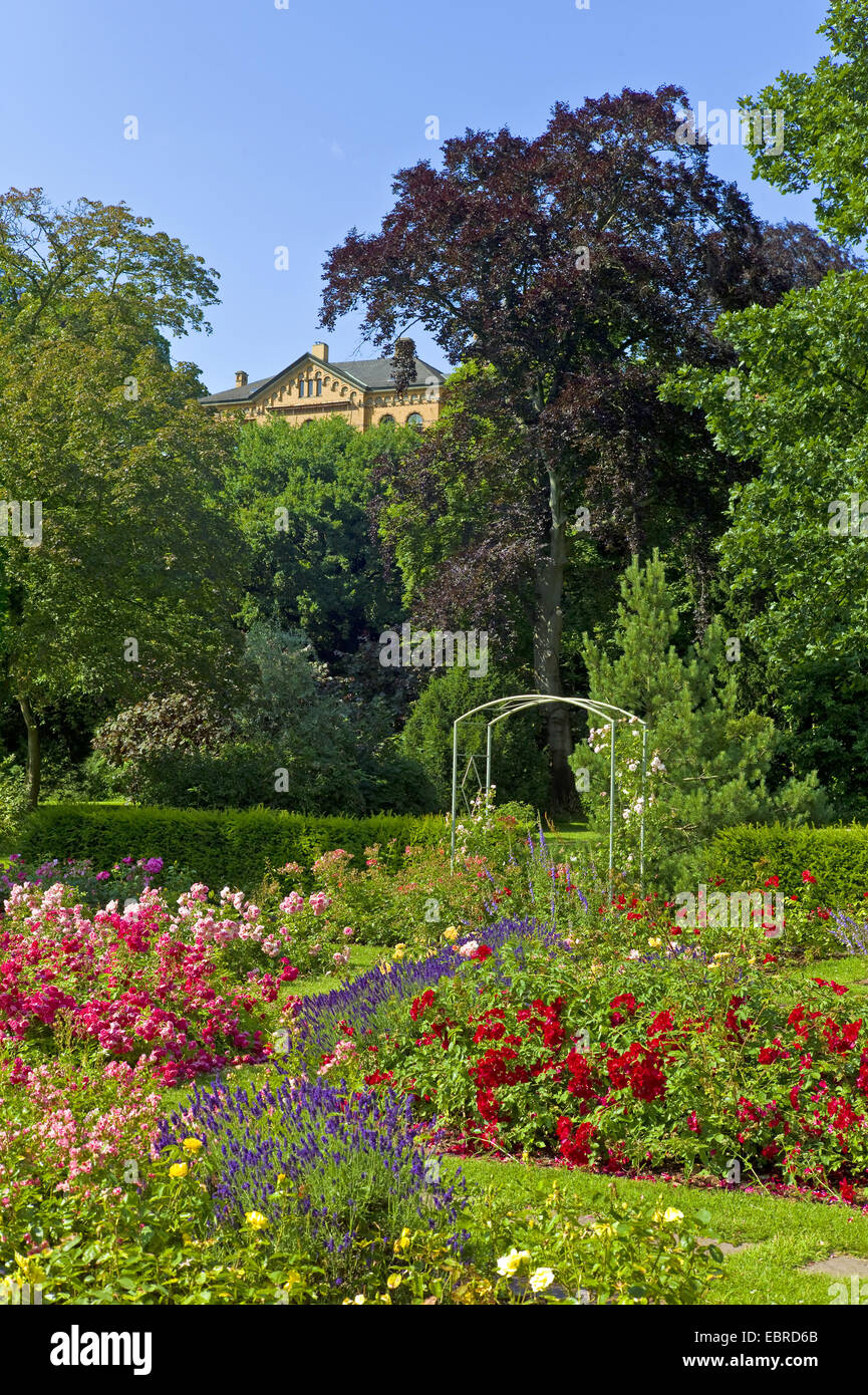 Jardín de rosas en el jardín municipal de Bremen-Vegesack, Alemania, Bremen Foto de stock
