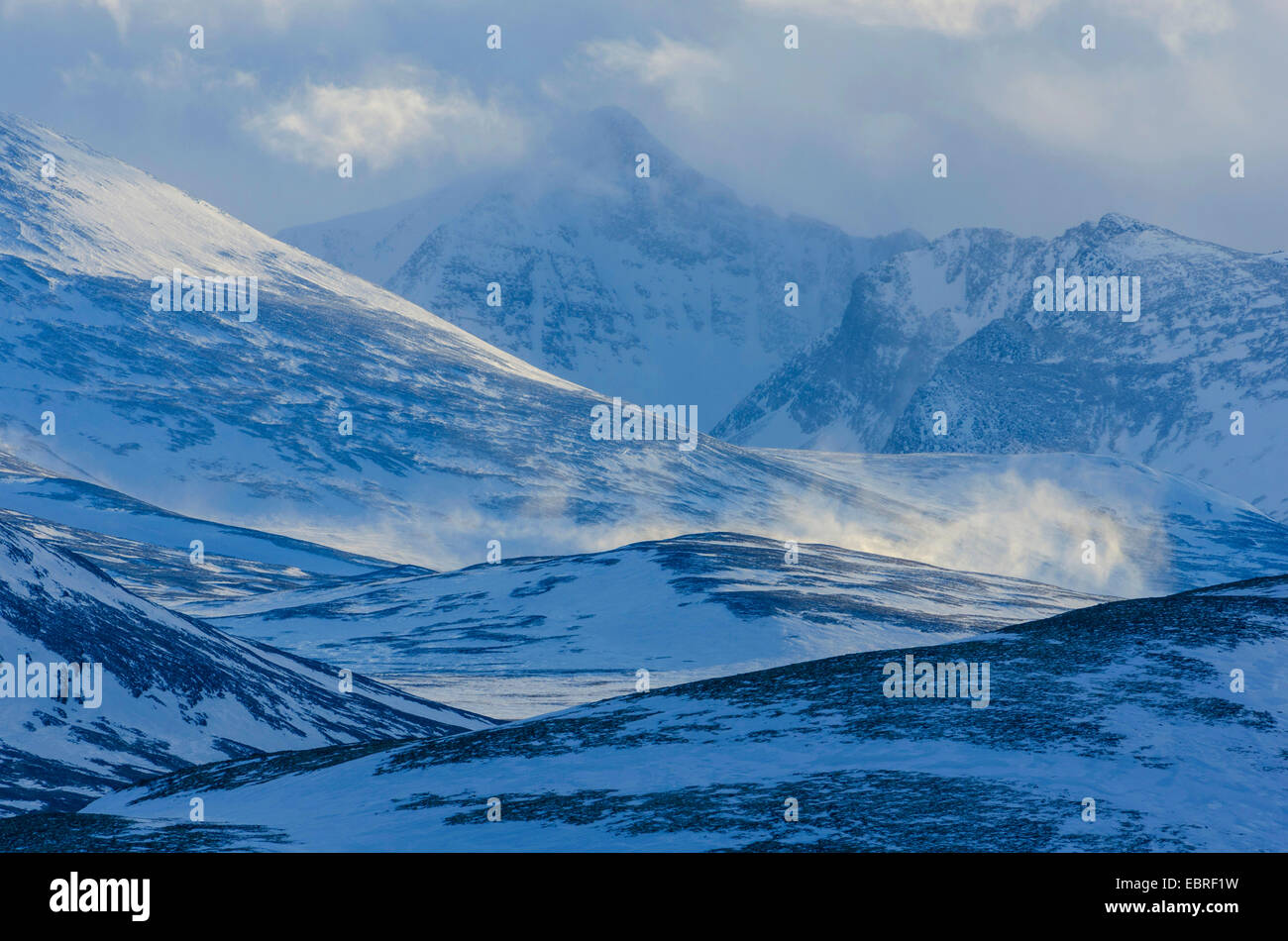 Cubiertas de nieve, vasto paisaje de montaña, Noruega Oppland Fylke, Parque Nacional Rondane Foto de stock