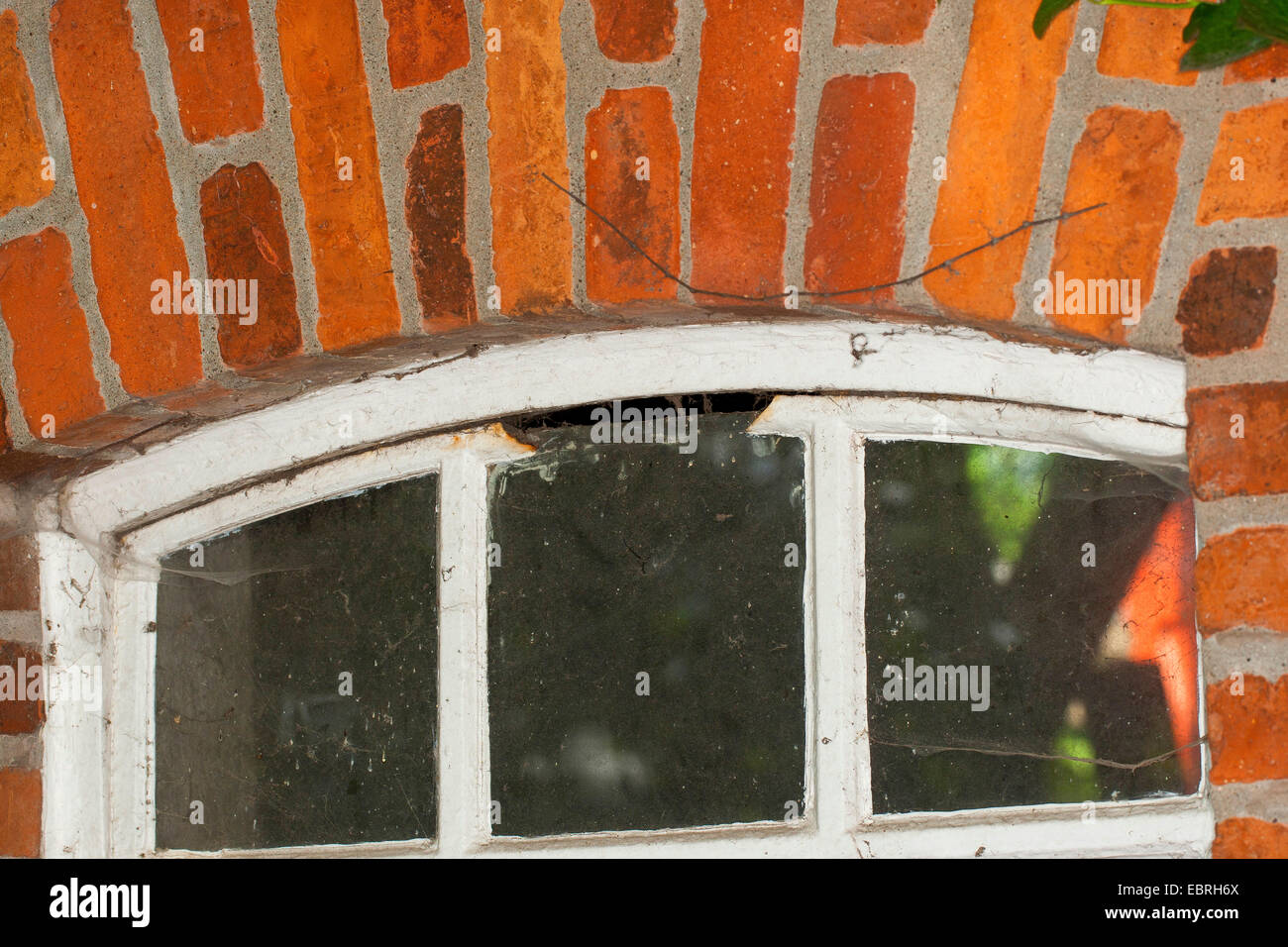 En una ventana aserradas fuera vacío como una apertura hacia el interior de un cobertizo, cavidades huecas como escondite, Alemania Foto de stock