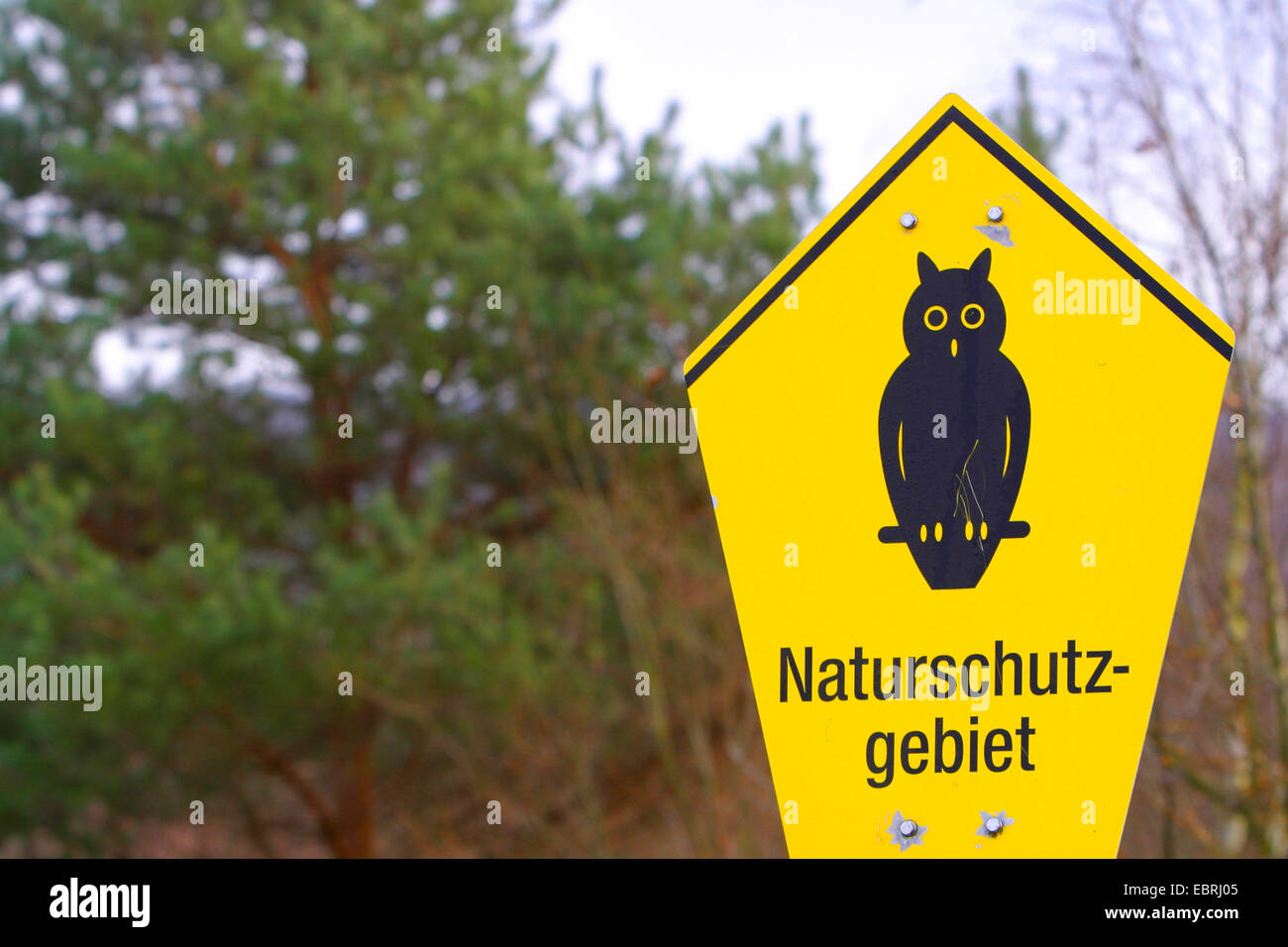 Reserva natural de firmar con owl, Alemania Foto de stock