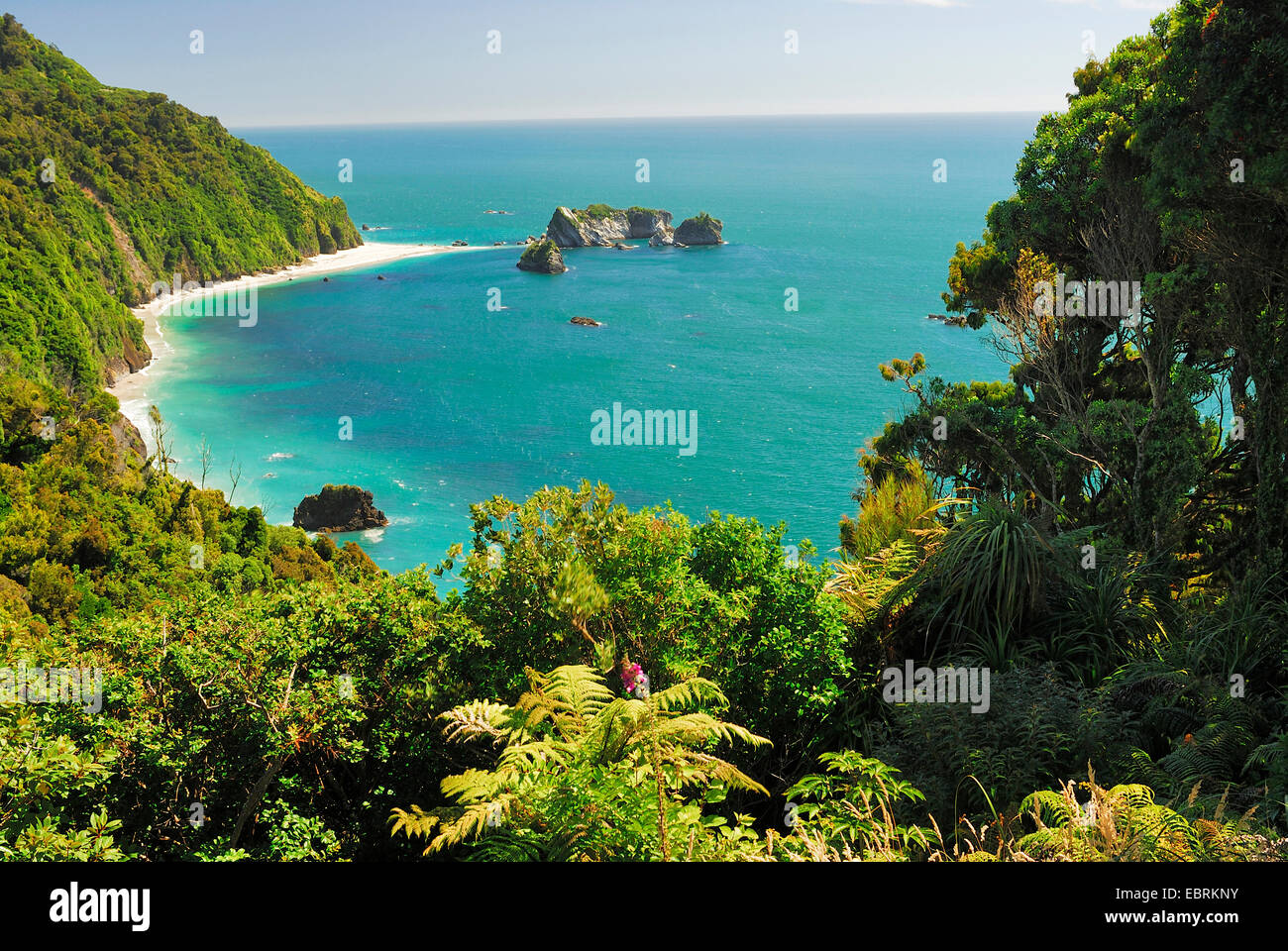 Vista a una bahía en la costa oeste, Isla del Sur, Nueva Zelanda Foto de stock