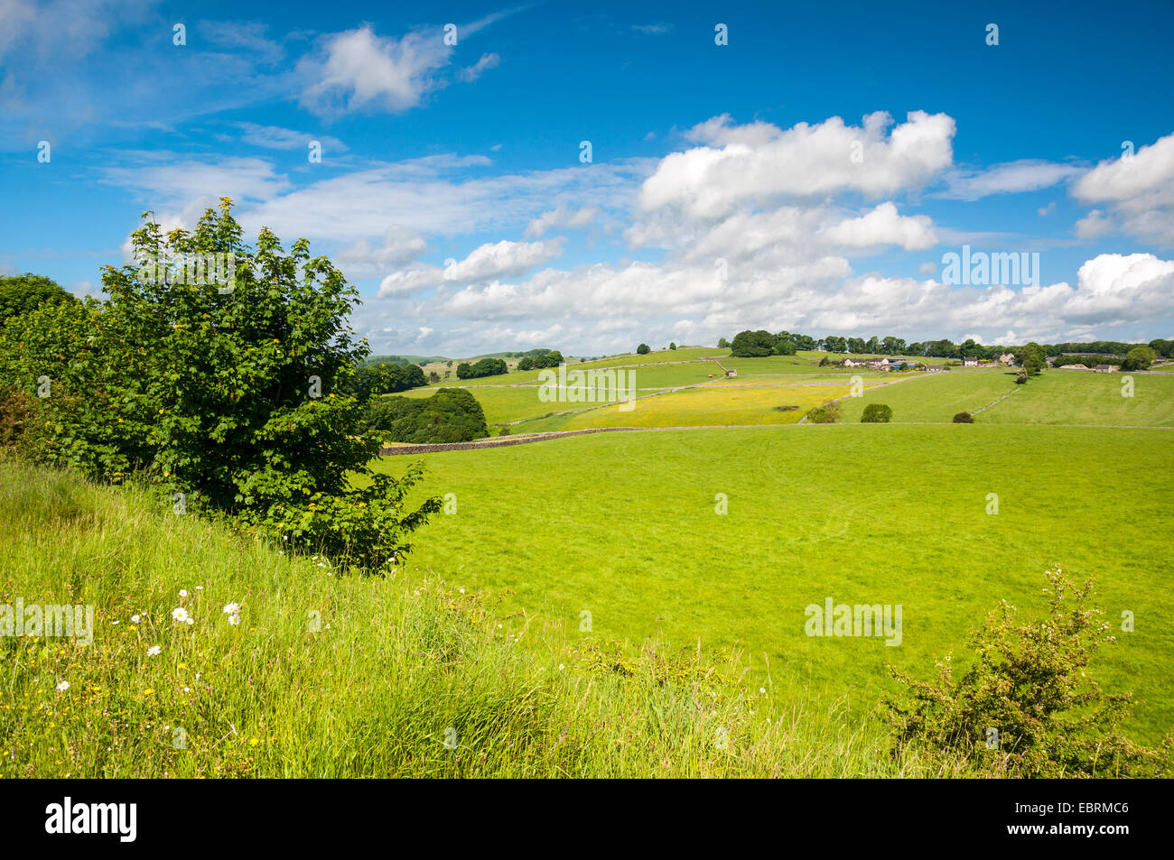 Paisaje de verano inglés en el distrito de los picos en un día soleado. Foto de stock