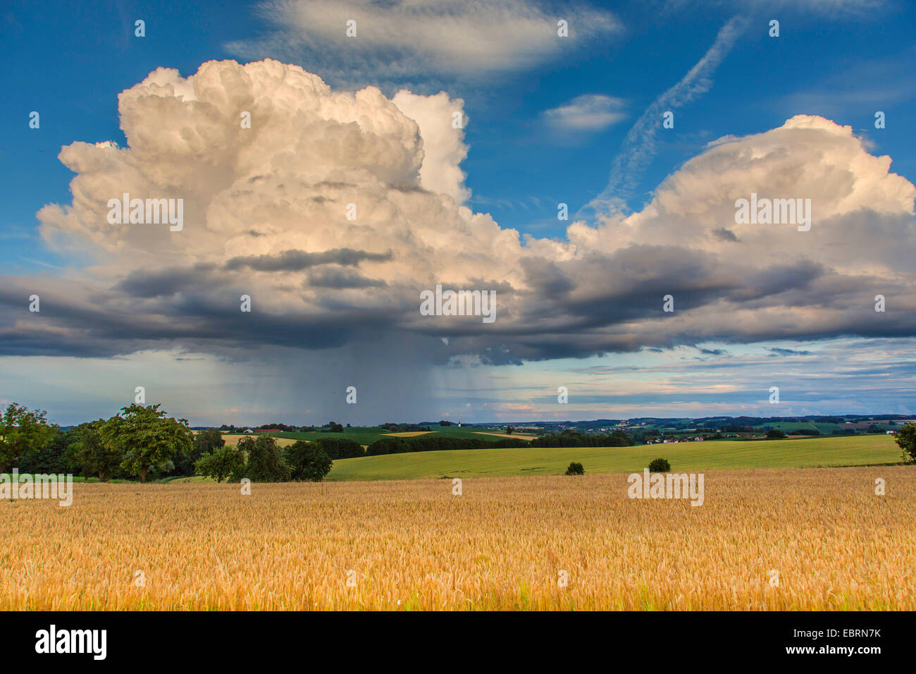 Aguacero, Cumulus congestus praecipitatio, encima del campo paisaje, Alemania, Baviera, Isental Foto de stock