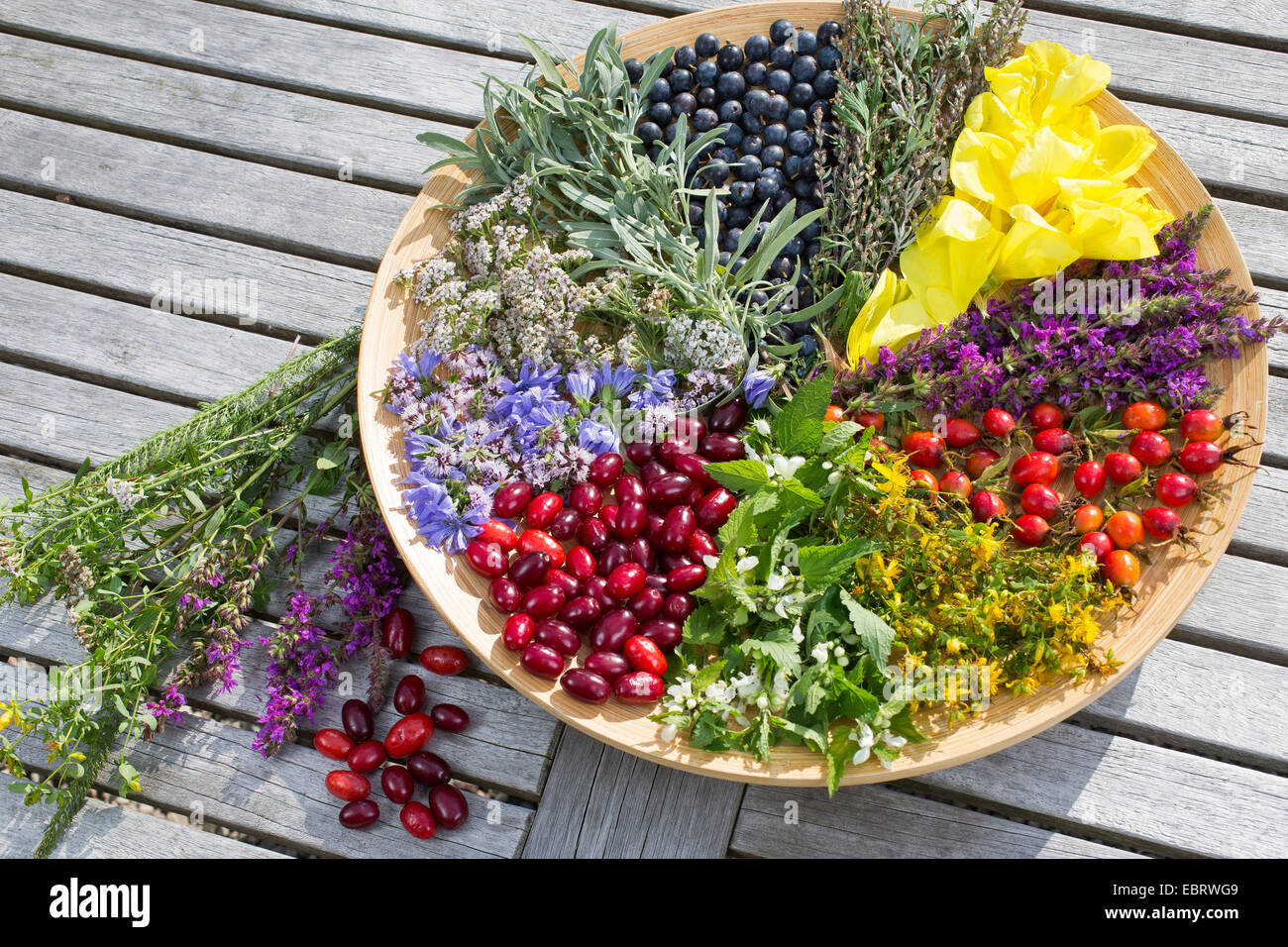 Charola con fines de verano flores y frutos , Alemania Foto de stock
