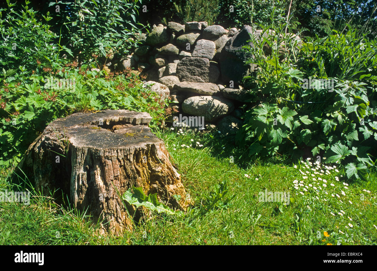Jardín natural con stump y montones de piedras, piedras cairn, Alemania Foto de stock