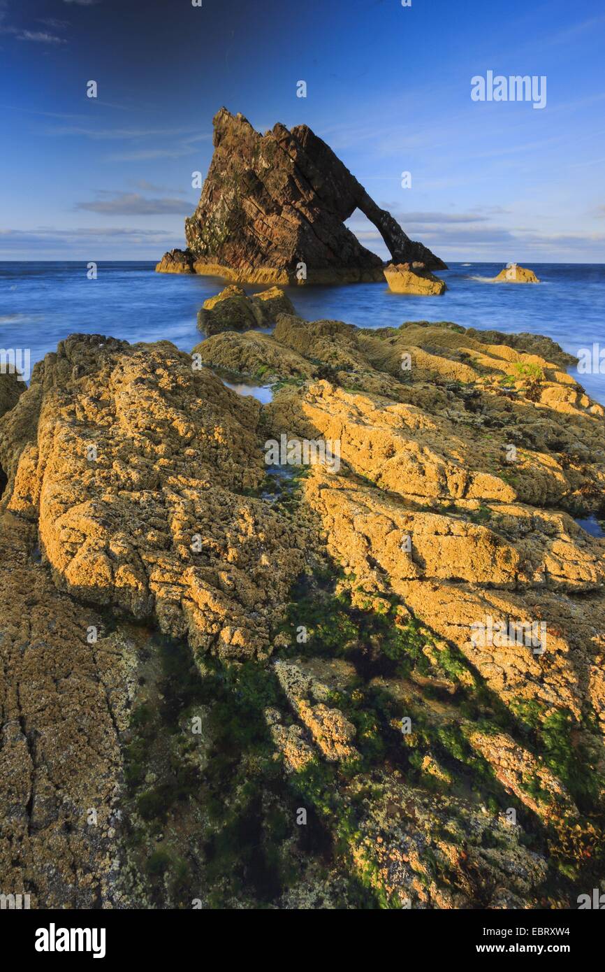 El arco en la costa escocesa, Bow Fiddle Rock, Reino Unido, Escocia, Portknockie Foto de stock