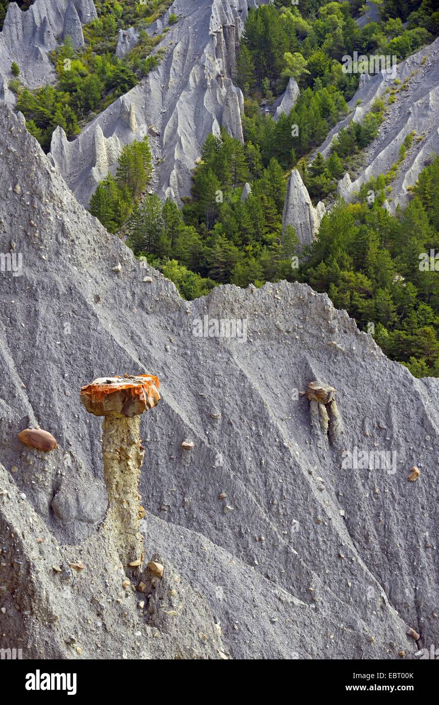Capped señoritas de Theus, formación rocosa, Francia, Hautes Alpes, Theus Foto de stock