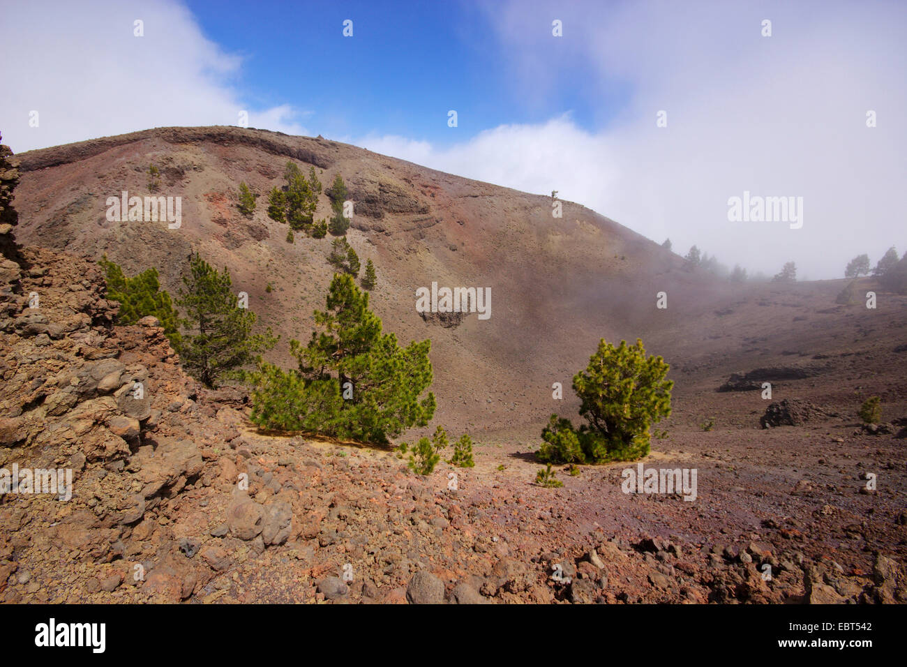 Cráter del volcán deseada, las Islas Canarias, La Palma, La Ruta de Los Volcanes Foto de stock
