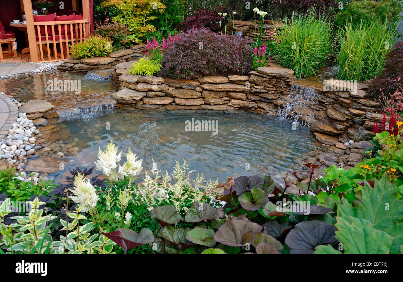 El área del estanque reflectante en un jardín acuático con plantado rocalla y cascadas Foto de stock